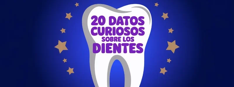 20-datos-curiosos-sobre-los-dientes 20-datos-curiosos-sobre-los-dientes